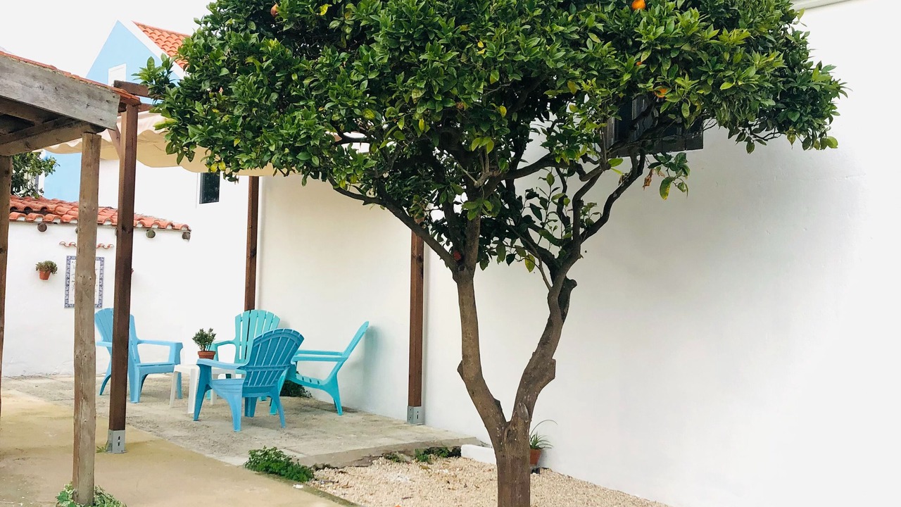 Photo of Outdoor in Torres Vedras