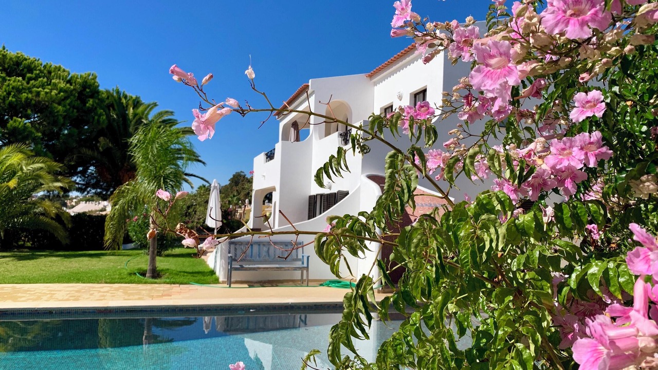 Photo of Outdoor in Vale de Covo