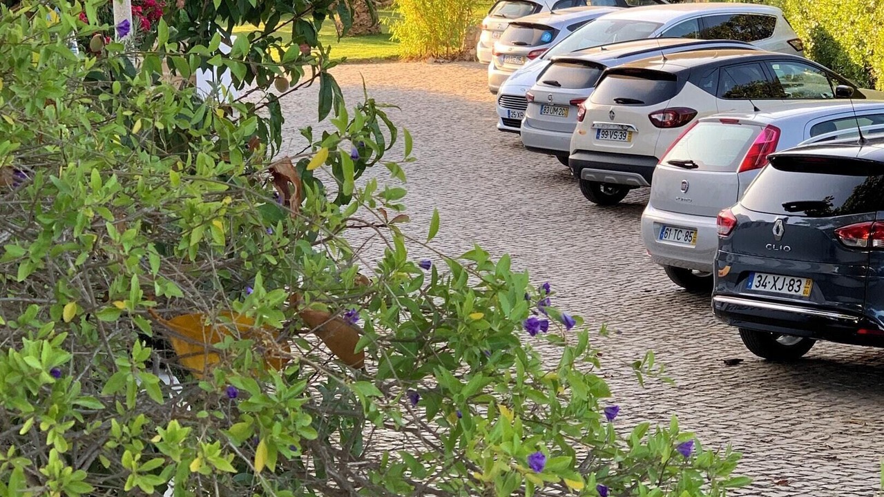 Photo of Outdoor in Vale de Covo