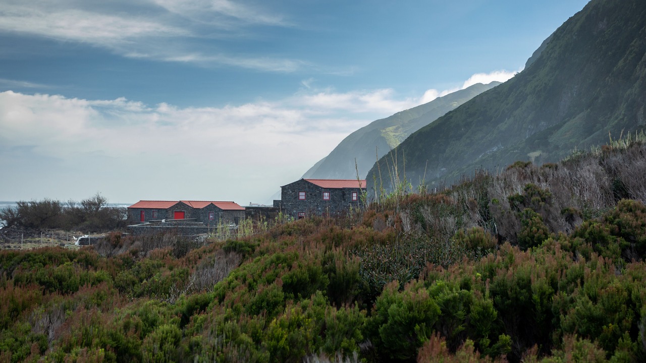 Photo of Others in Calheta