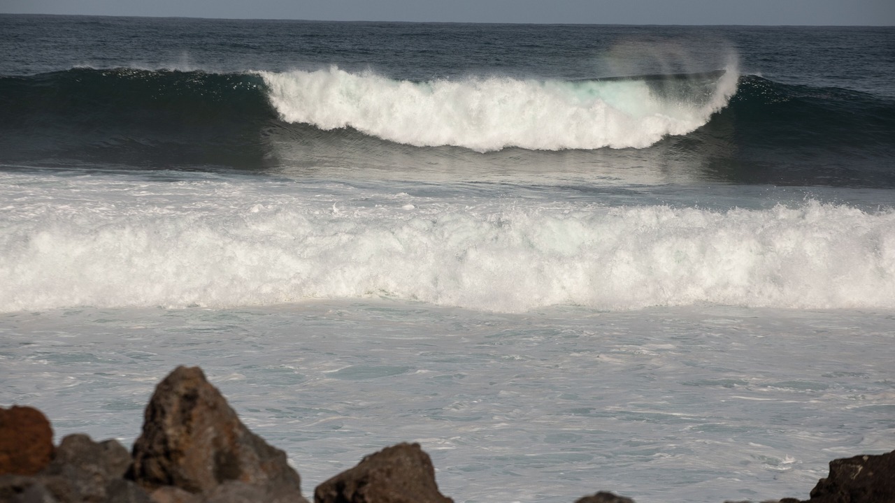 Photo of Others in Calheta