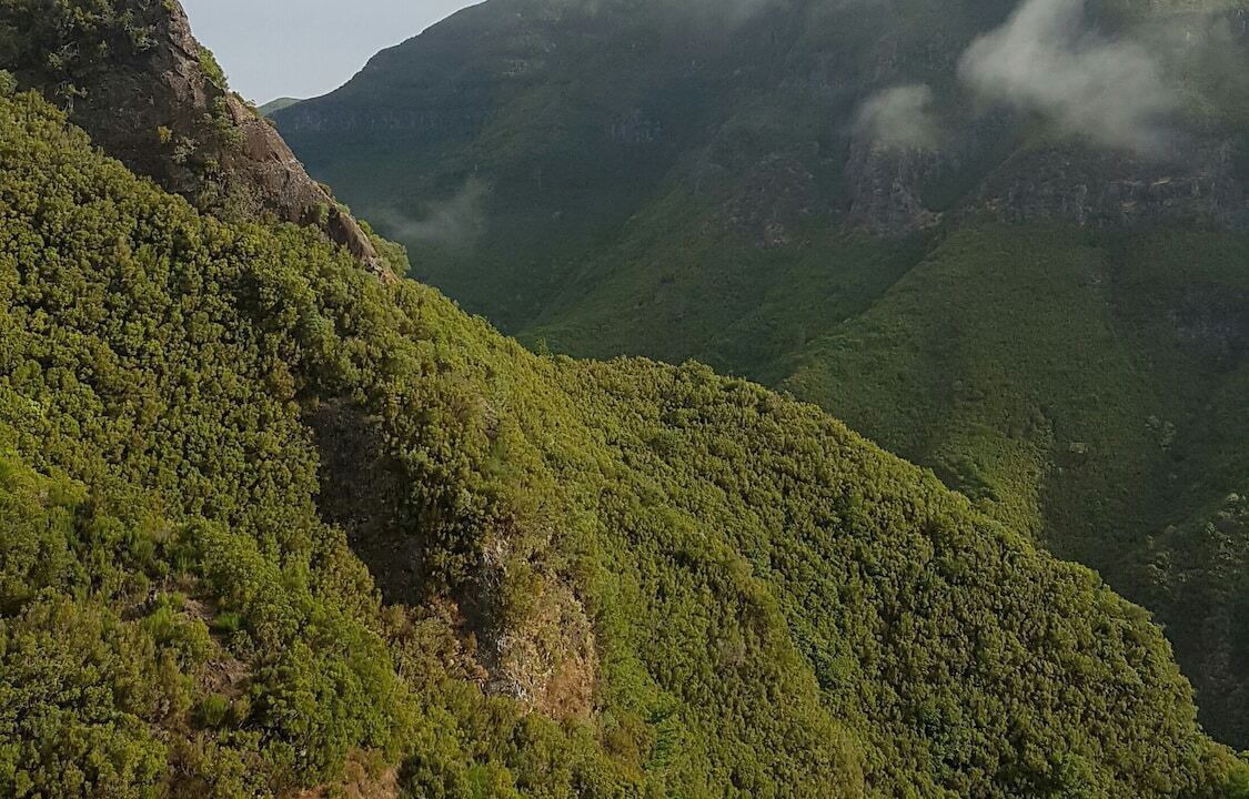 Photo of Outdoor in Arco da Calheta