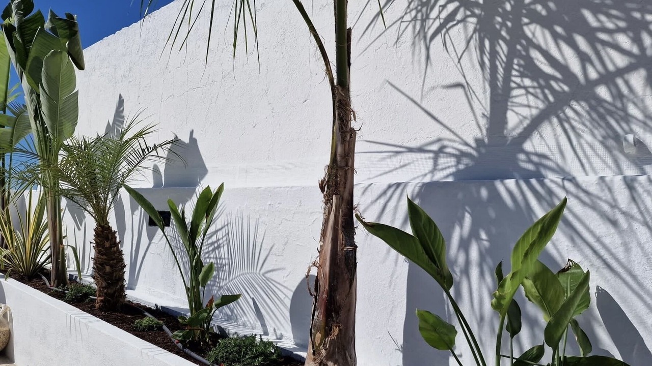 Photo of Outdoor in Olhao