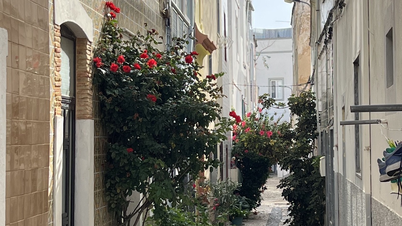 Photo of Outdoor in Olhao