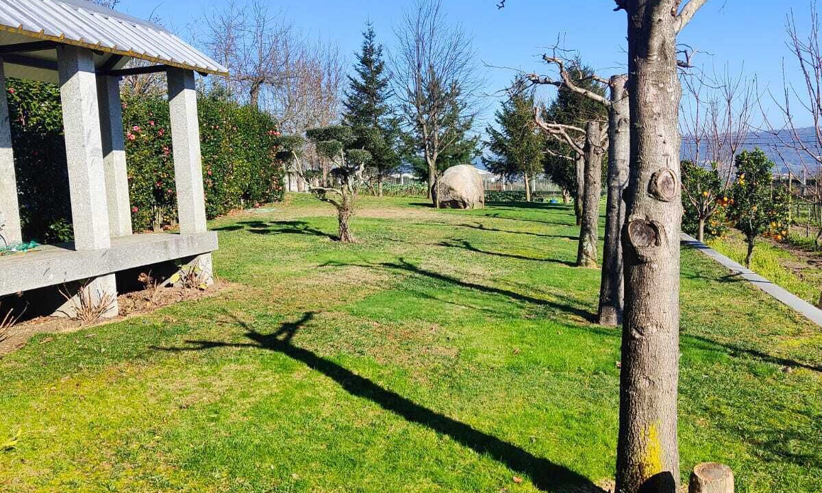 Photo of Outdoor in Felgueiras