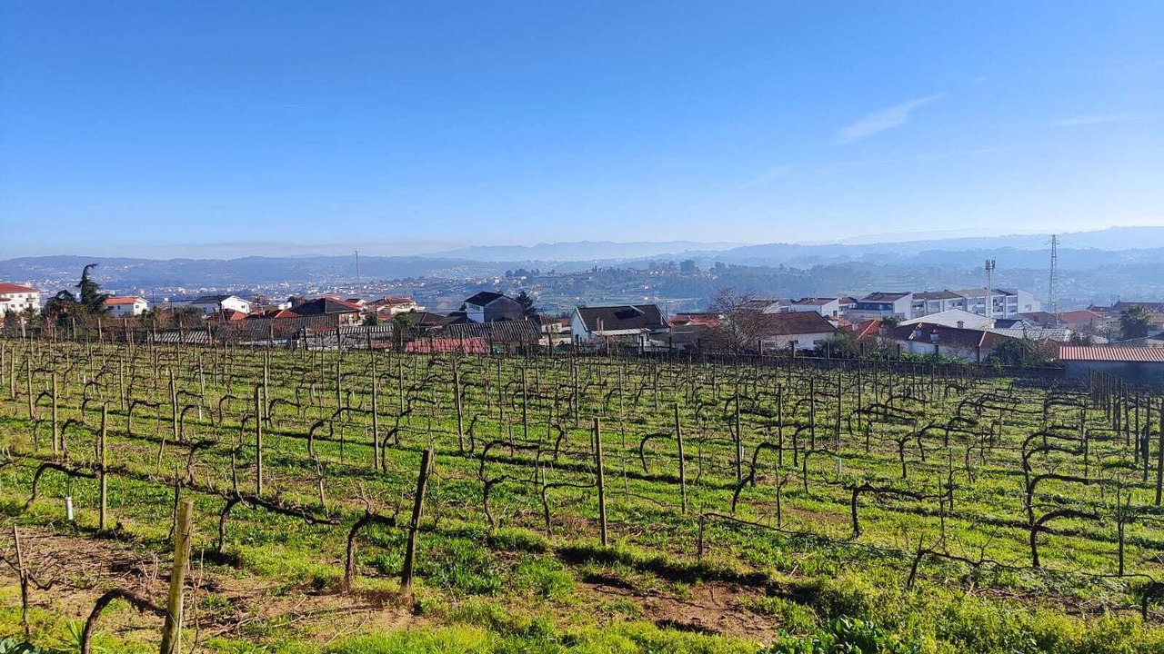 Photo of Outdoor in Felgueiras