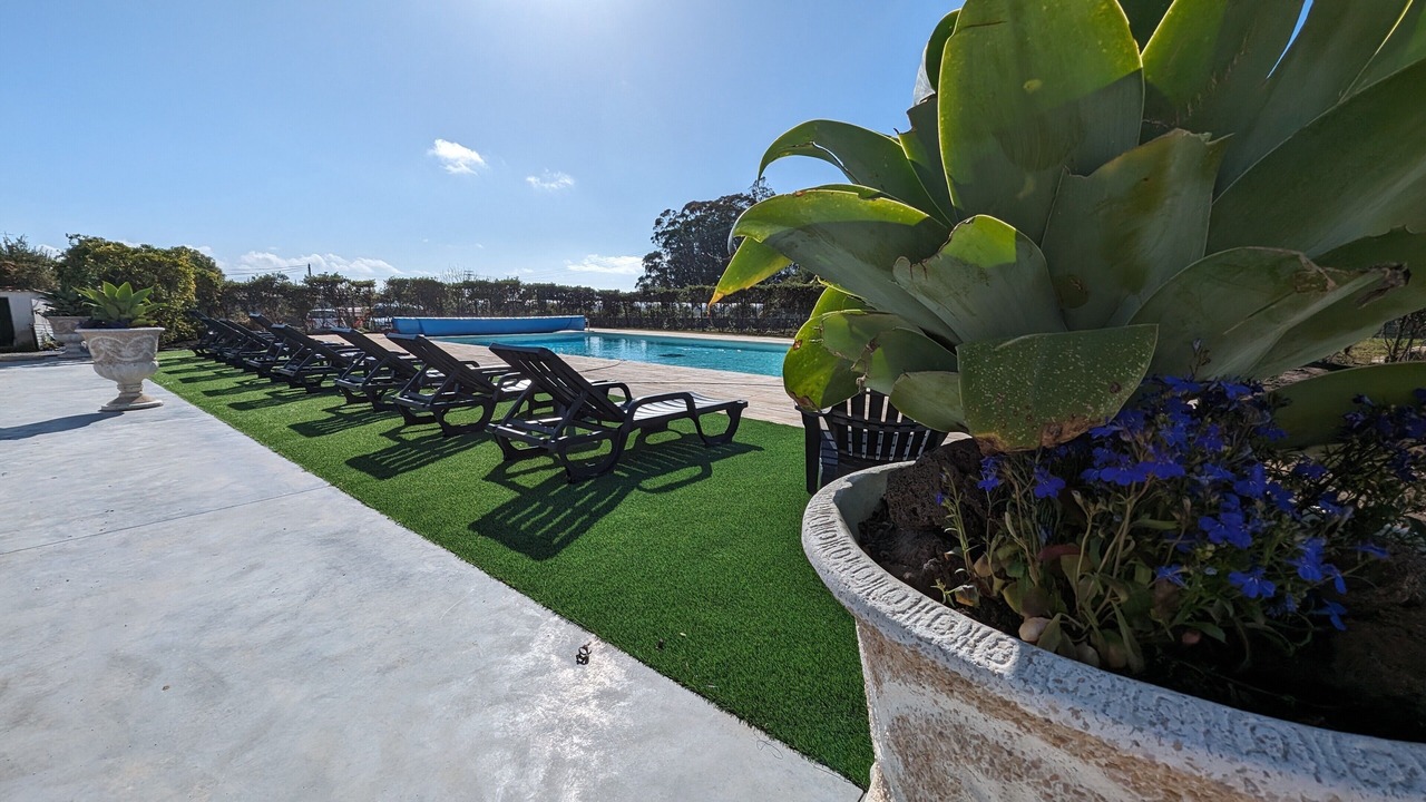 Photo of Outdoor in Esposende