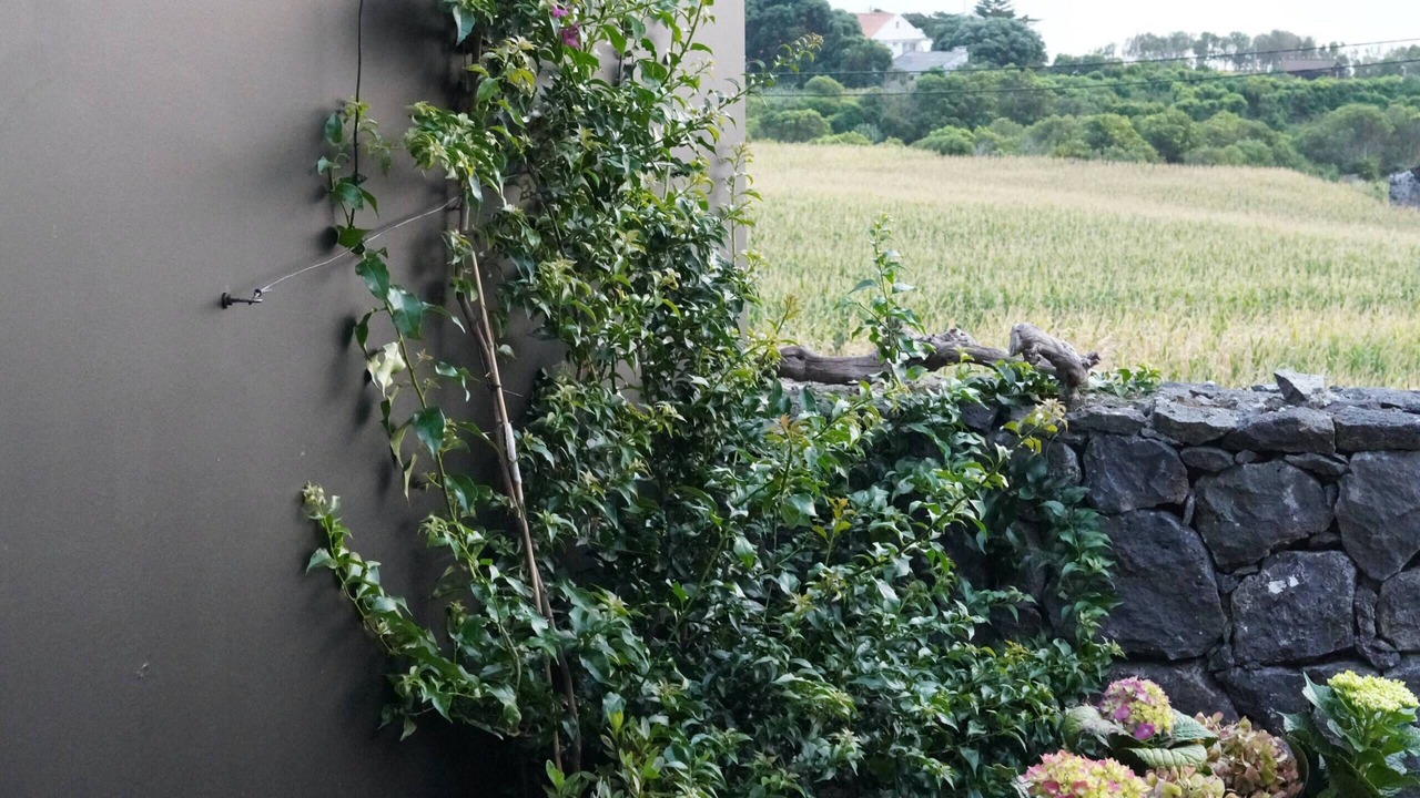 Photo of Outdoor in Prainha