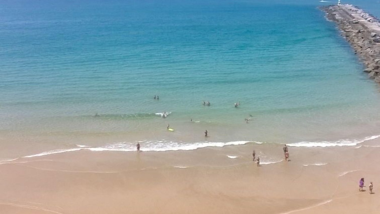 Photo of Others in Portimao