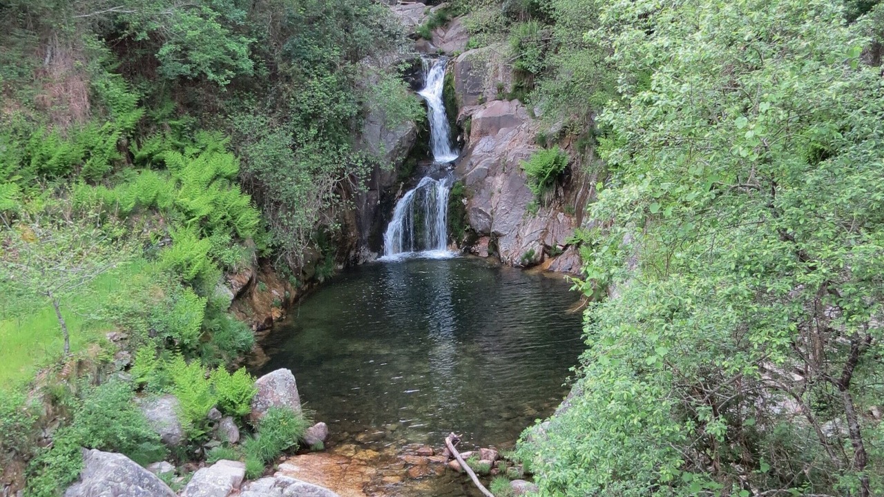 Photo of Others in Ossela