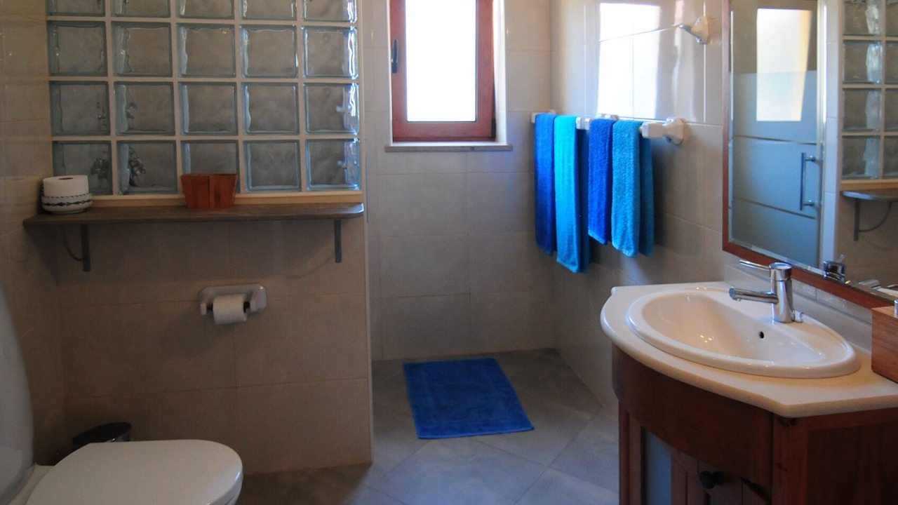 Photo of Bathroom in Salir do Porto