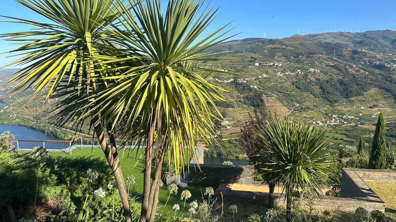 Photo of Outdoor in Mesao Frio