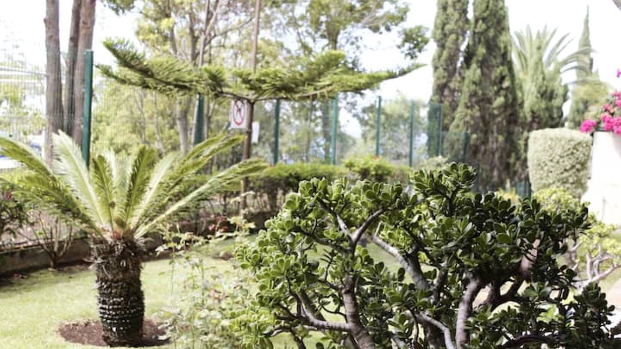 Photo of Outdoor in Sao Martinho