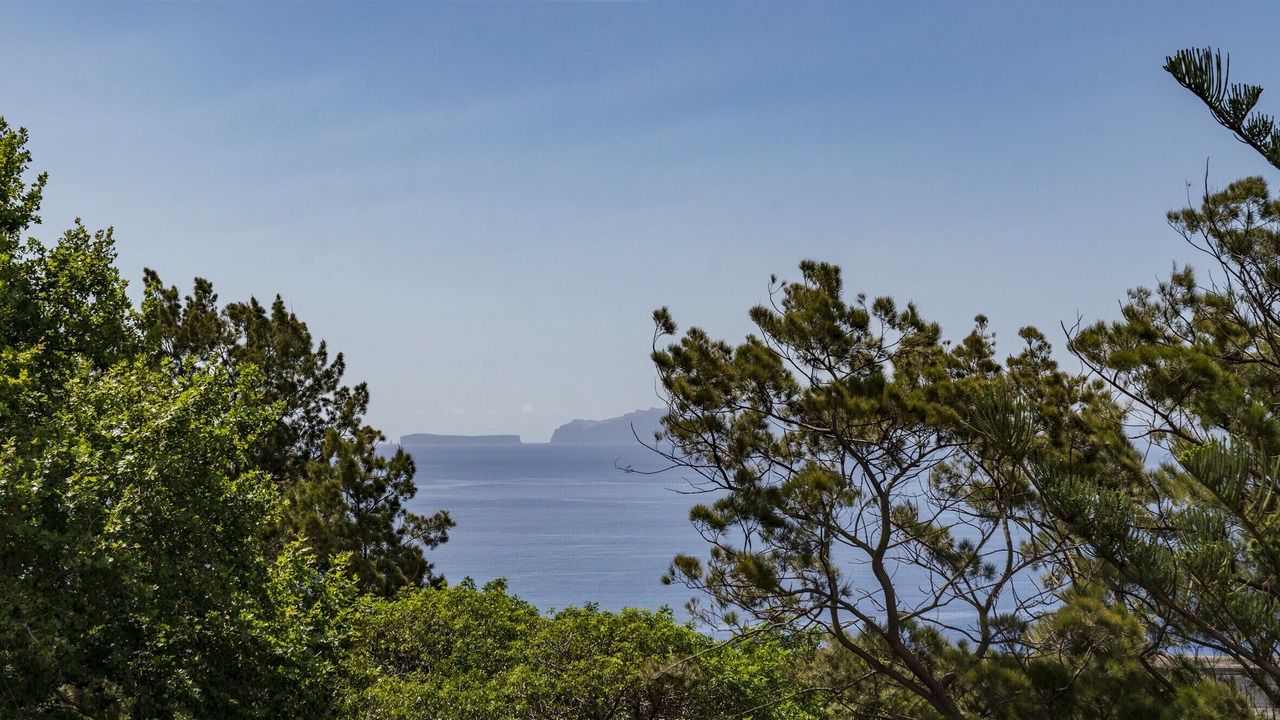 Photo of Outdoor in Machico