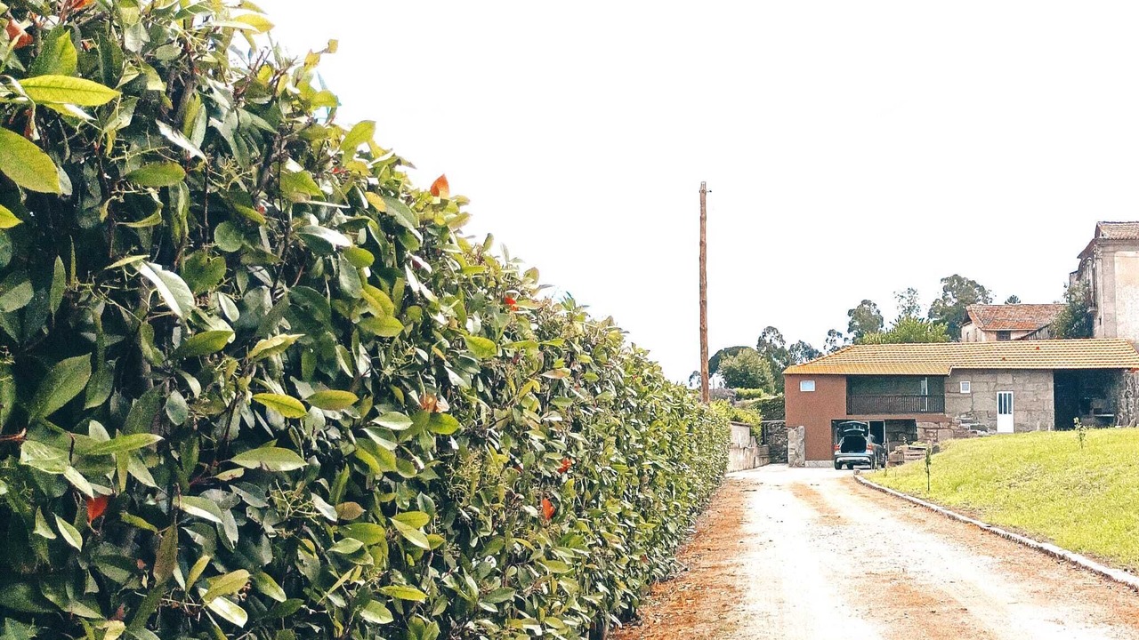 Photo of Outdoor in Travanca