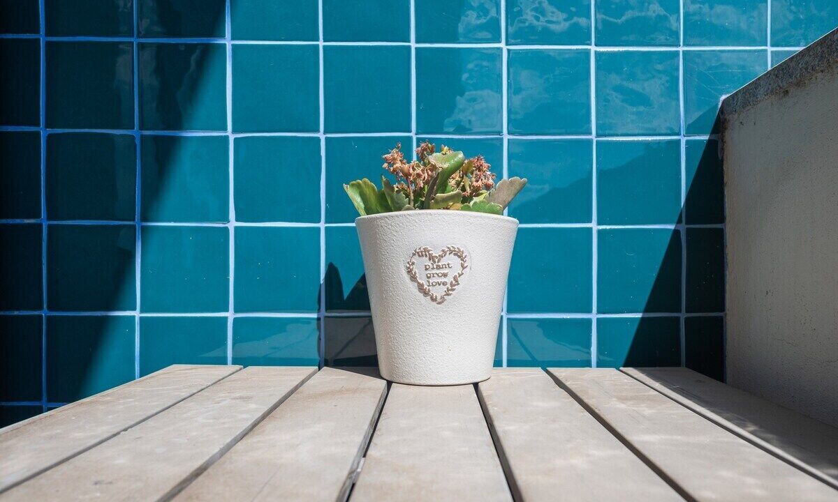 Photo of Bathroom in Bonfim