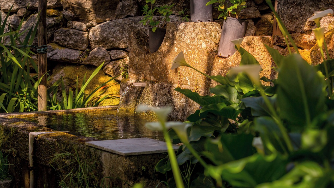 Photo of Outdoor in Barro