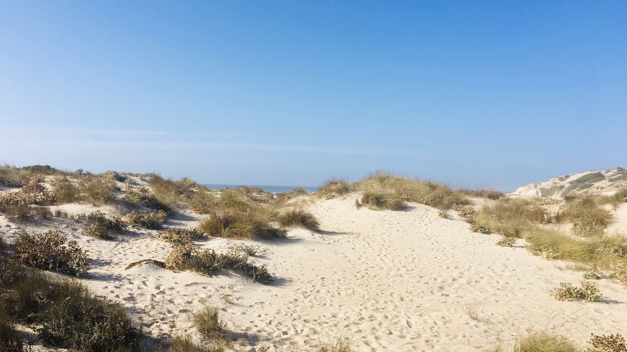 Photo of Others in Praia del Rei