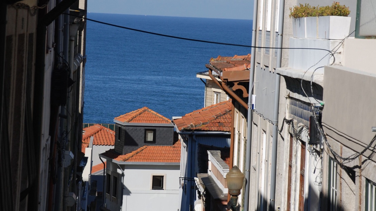 Photo of Others in Foz do Douro