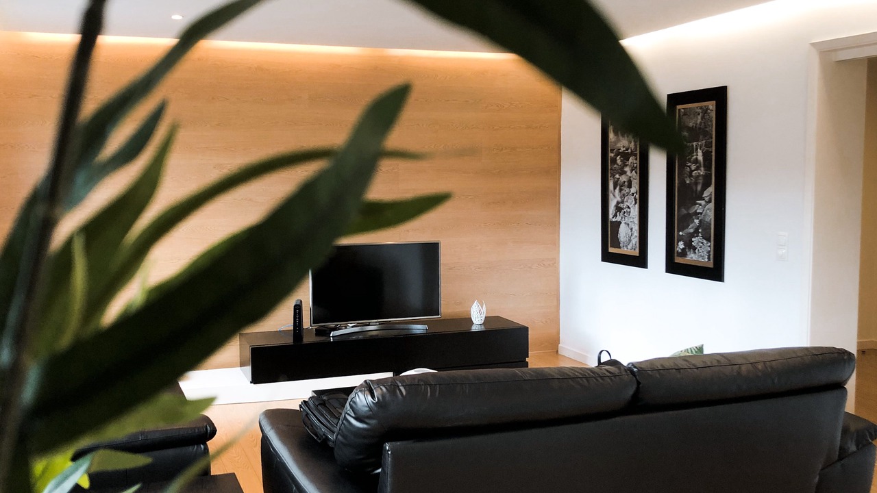Photo of Livingroom in Ponta Delgada