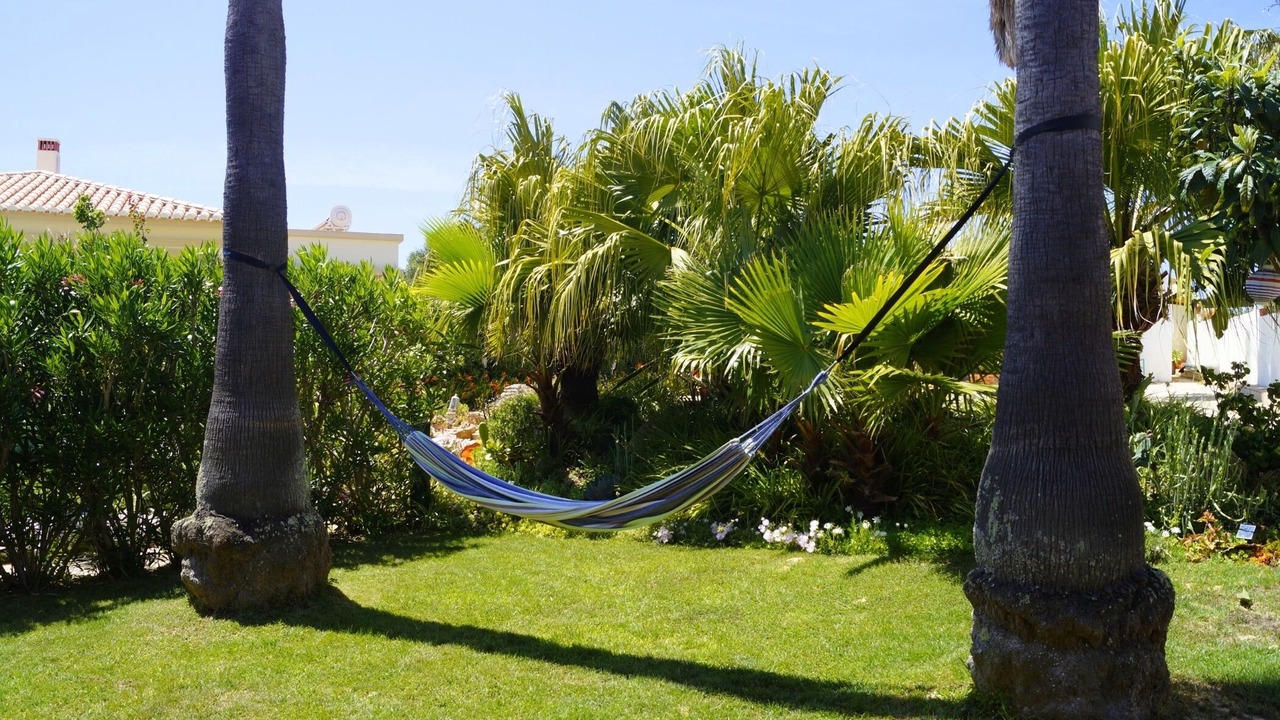 Photo of Outdoor in Espiche