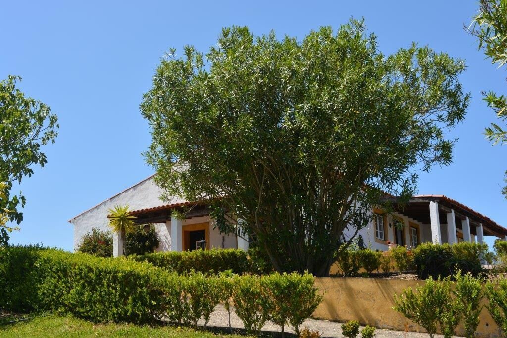 Photo of Outdoor in Sao Pedro de Tomar
