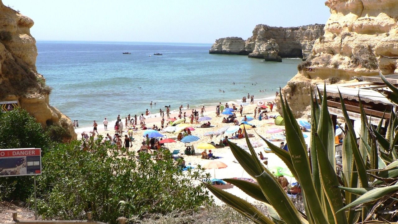 Photo of Others in Vale de Covo
