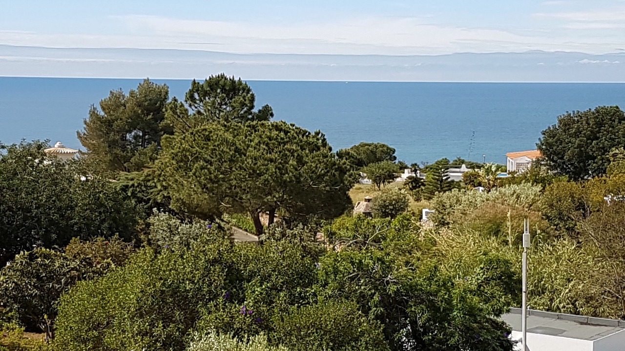 Photo of Others in Vale de Covo