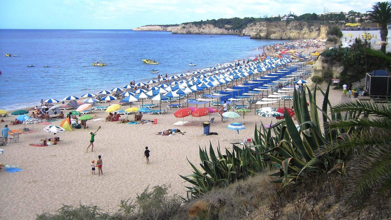Photo of Others in Vale de Covo