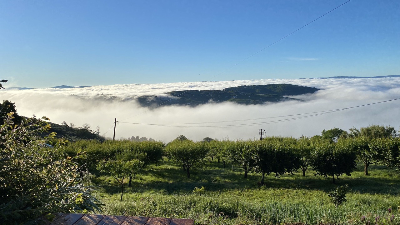 Photo of Outdoor in Peso da Regua