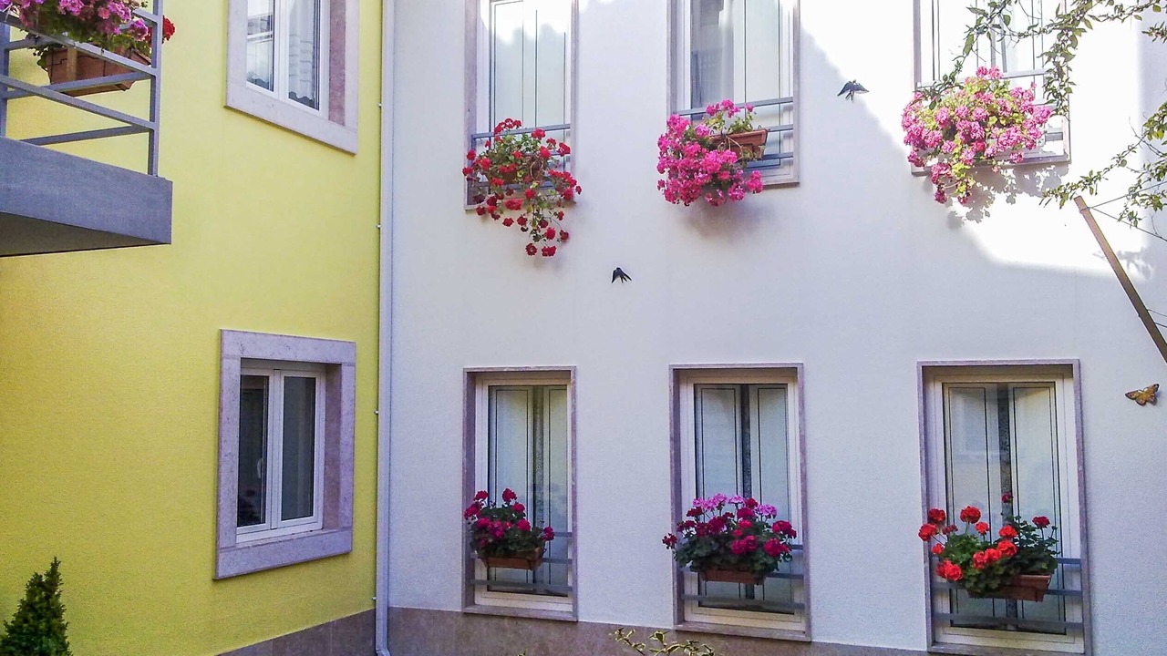Photo of Outdoor in Lumiar