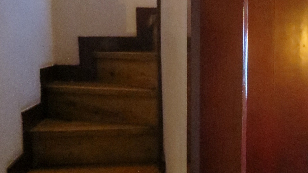 Photo of Others in Eugaria
