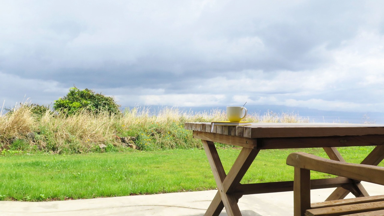 Photo of Outdoor in Prainha