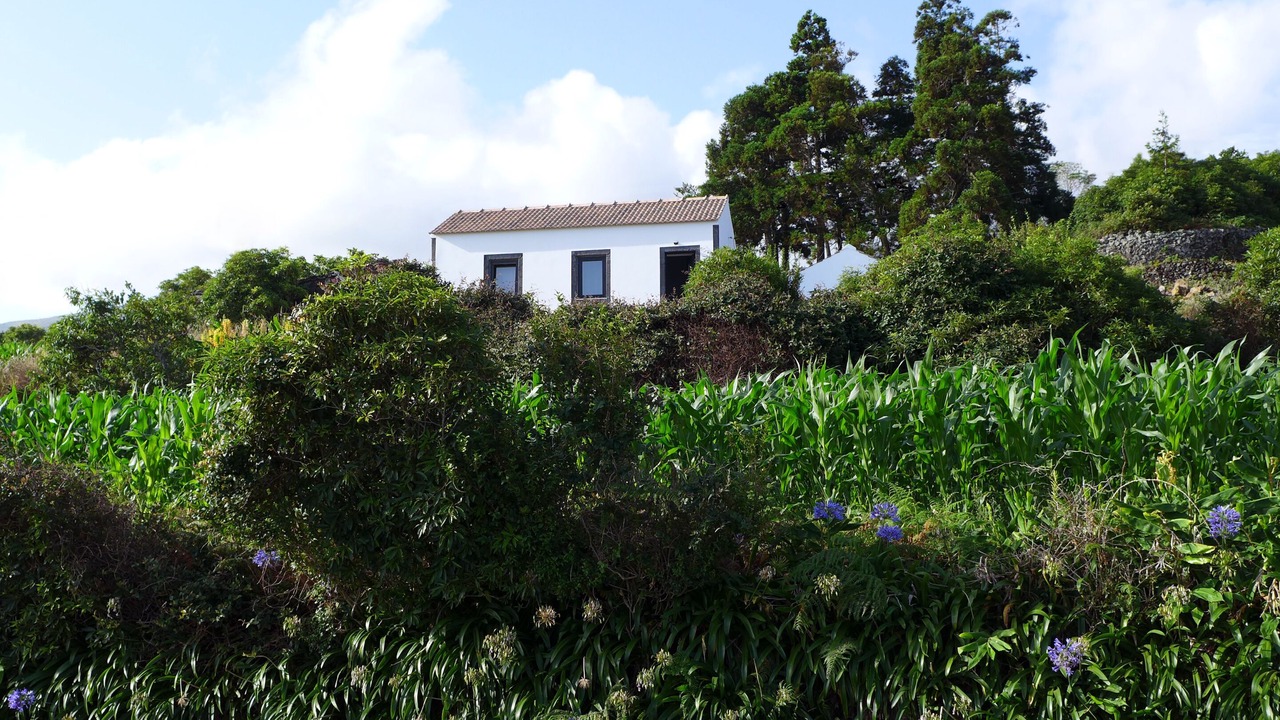 Photo of Outdoor in Prainha