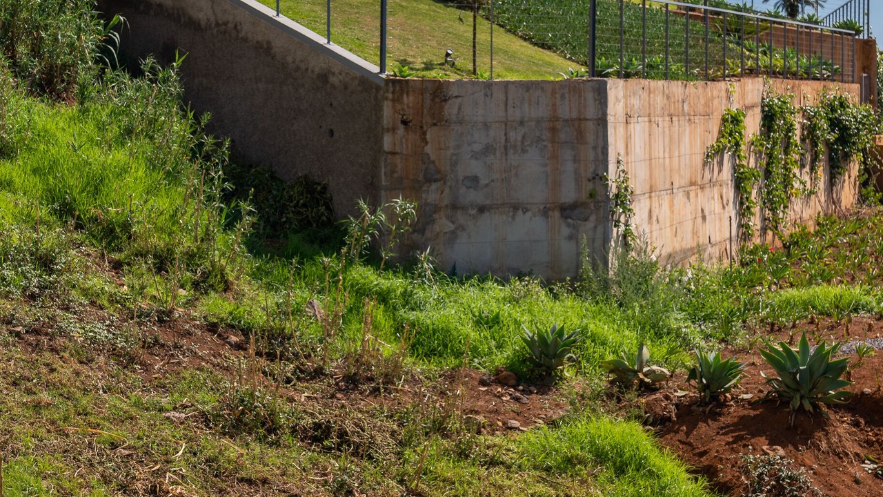 Photo of Others in Prazeres