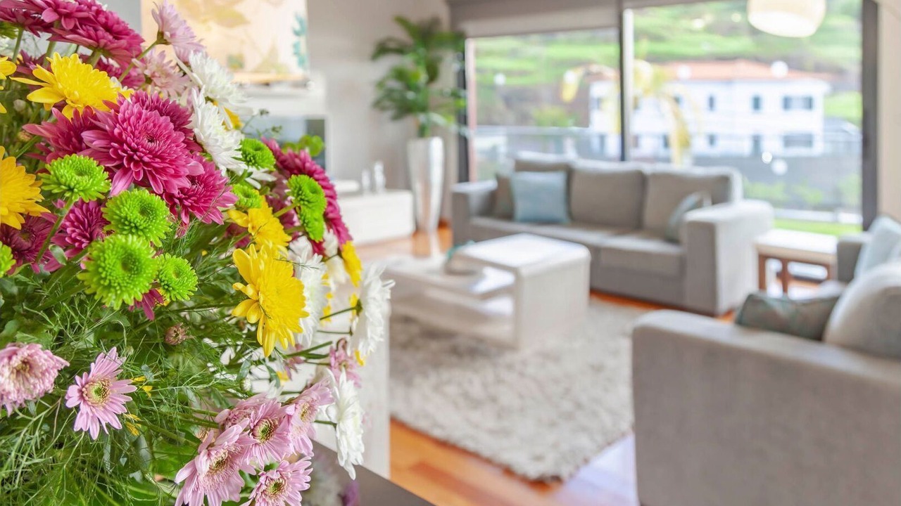 Photo of Livingroom in Estreito da Calheta