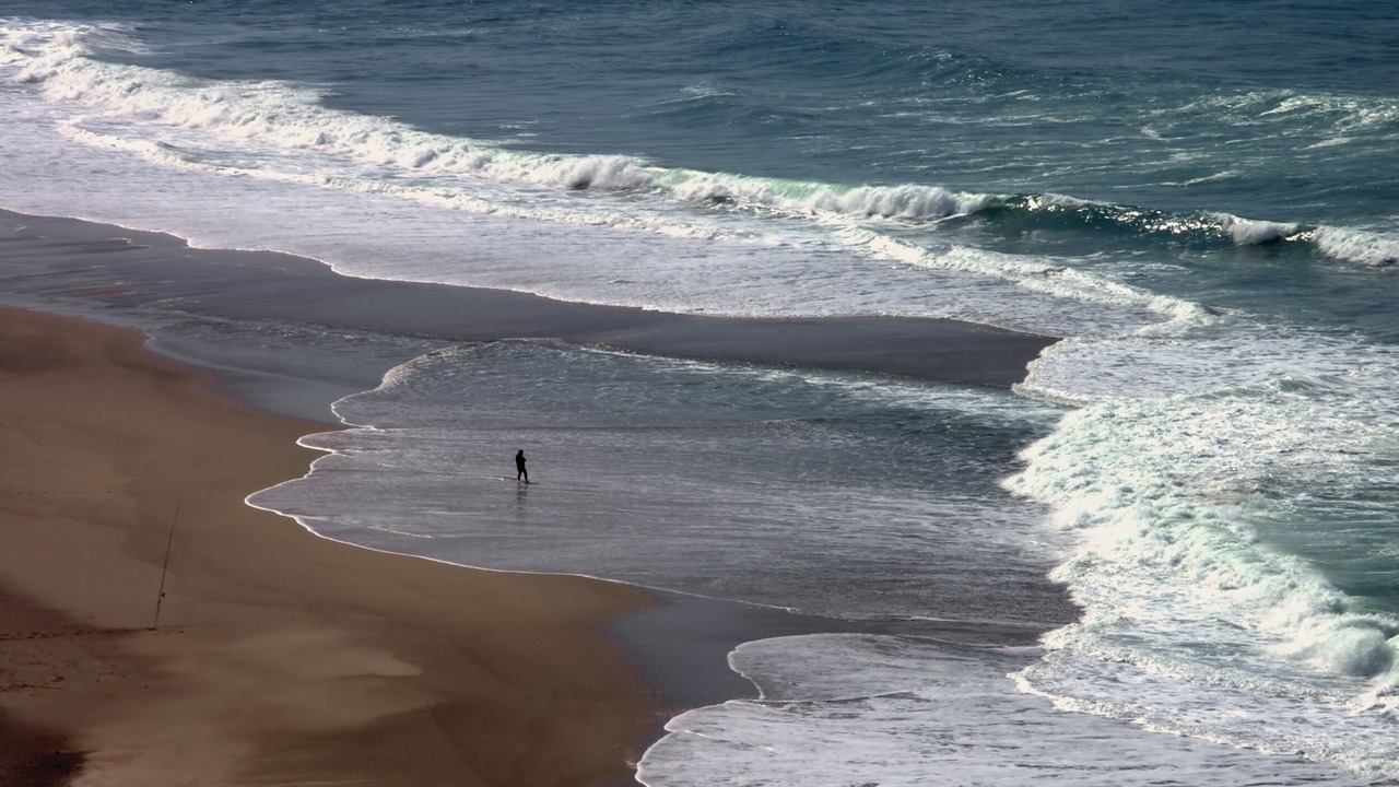 Photo of Others in Foz do Arelho