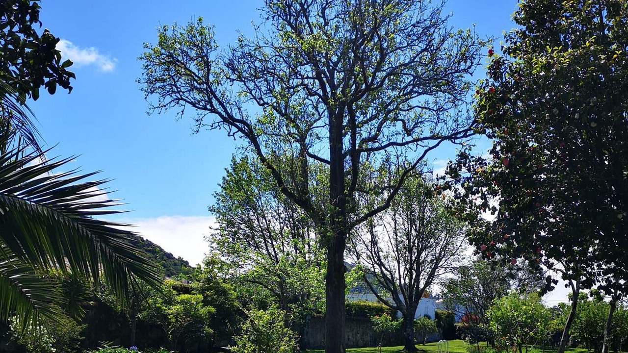 Photo of Outdoor in Belinho