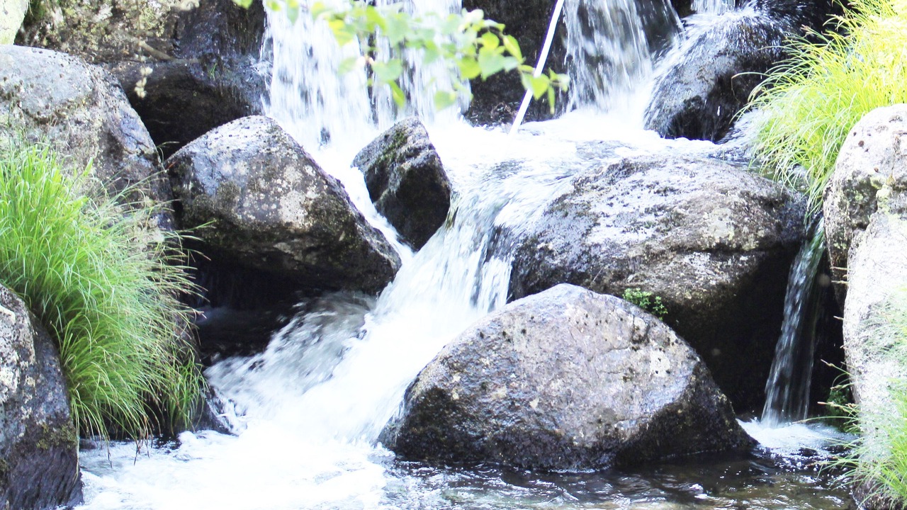 Photo of Outdoor in Penedones