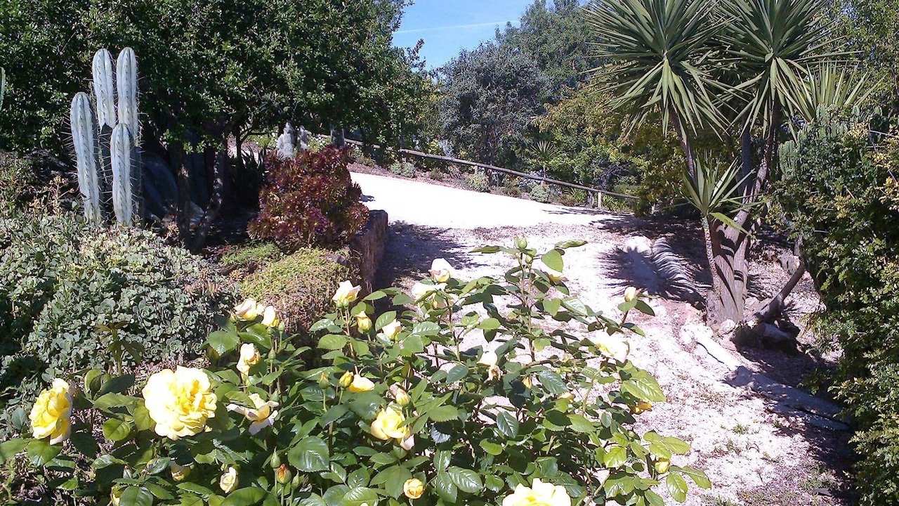 Photo of Outdoor in Espargal