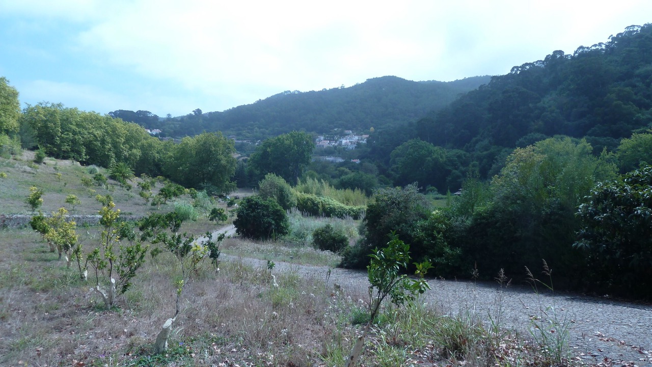Photo of Outdoor in Monserrate