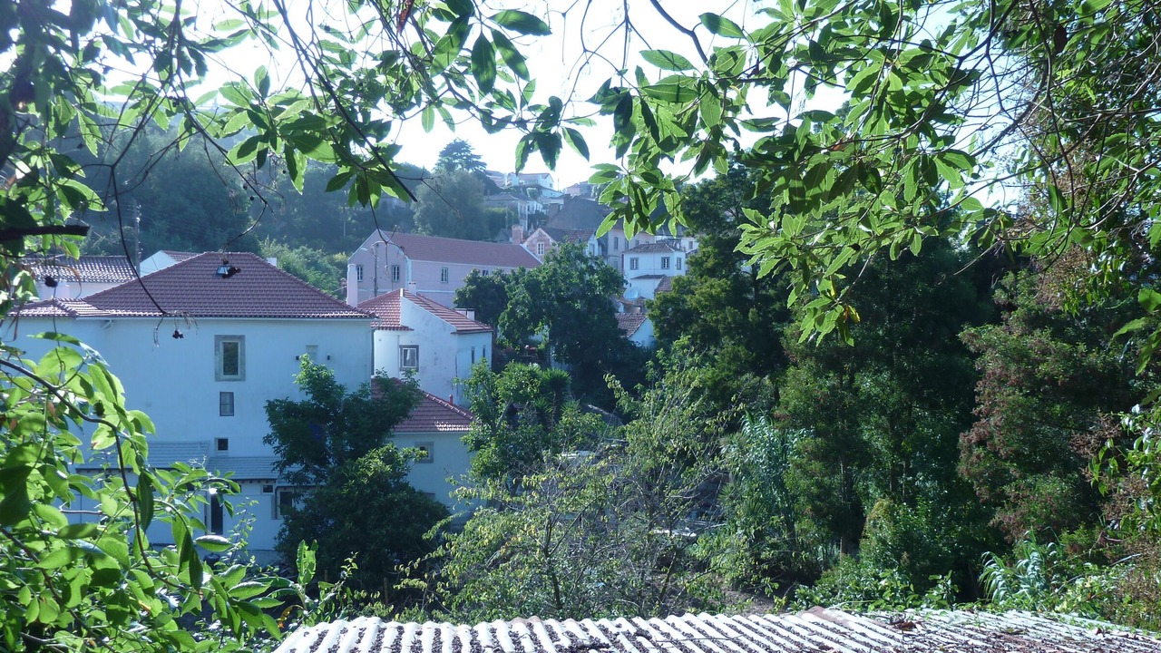 Photo of Outdoor in Monserrate
