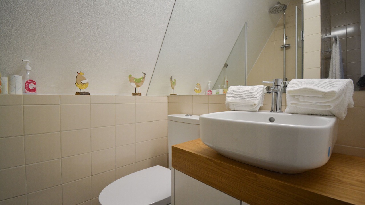 Photo of Bathroom in Penhas da Saude