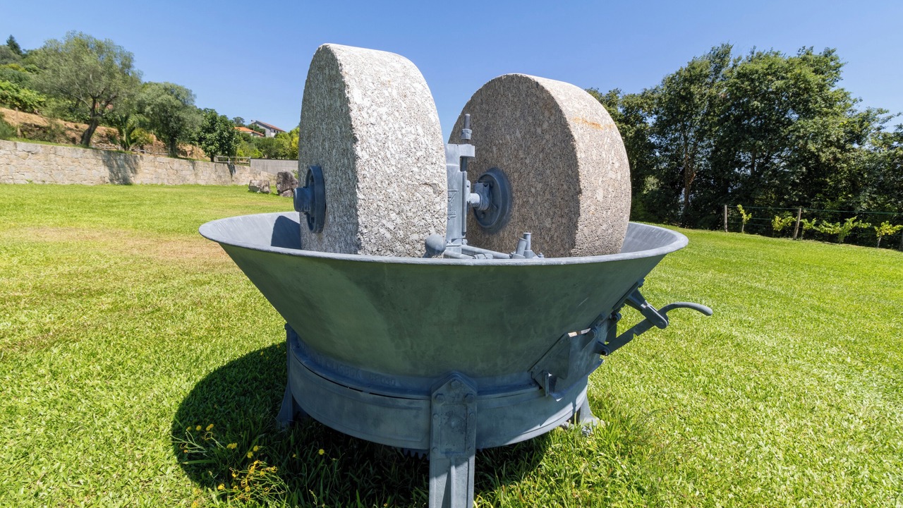 Photo of Outdoor in Bico