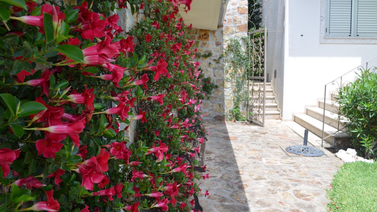 Photo of Outdoor in Santa Maria da Feira