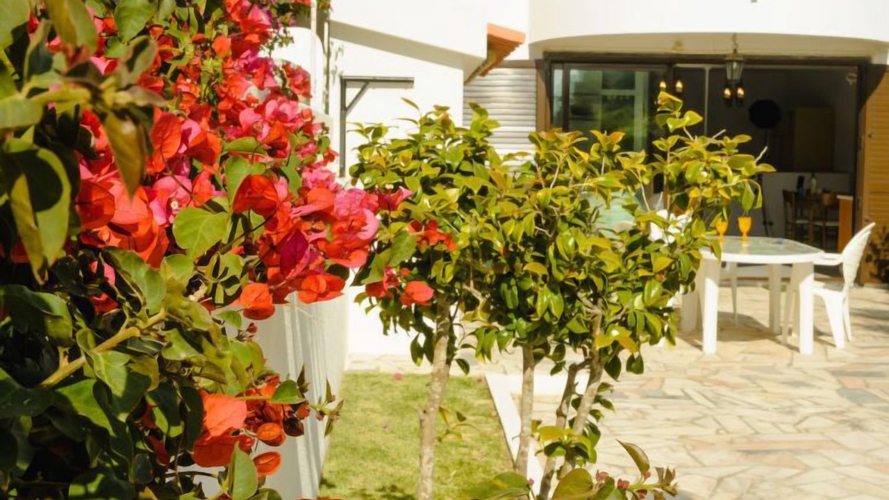 Photo of Outdoor in Ericeira