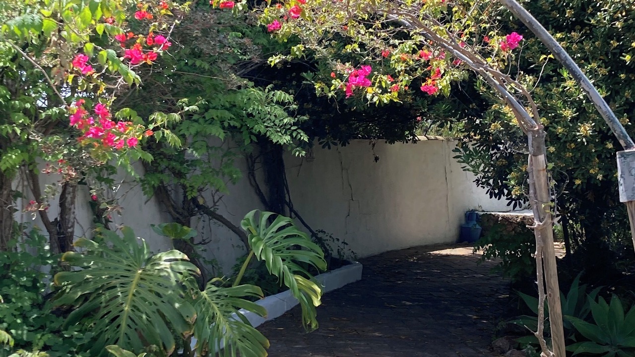 Photo of Outdoor in Silves