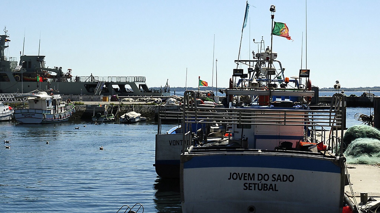 Photo of Others in Setubal