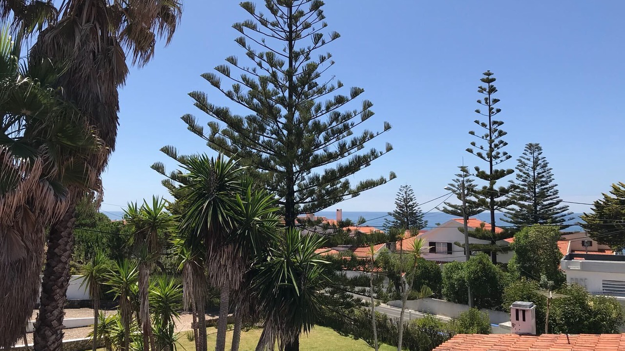 Photo of Outdoor in Praia das Macas