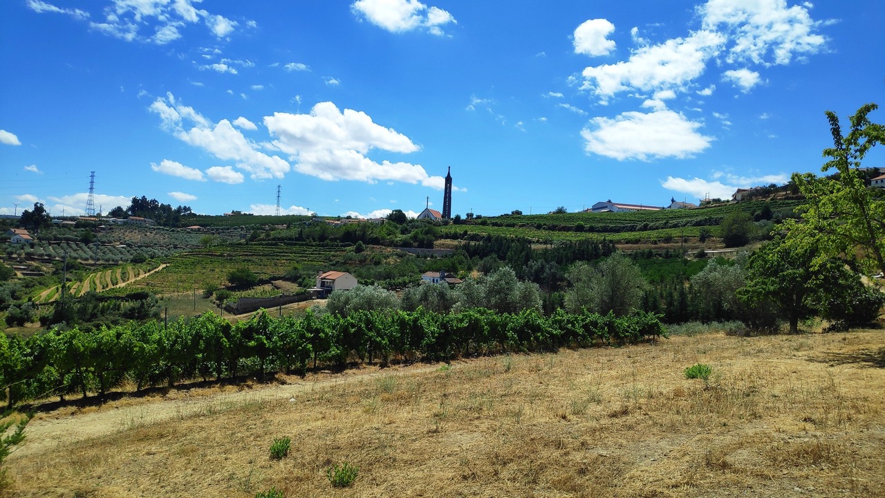 Photo of Outdoor in Armamar